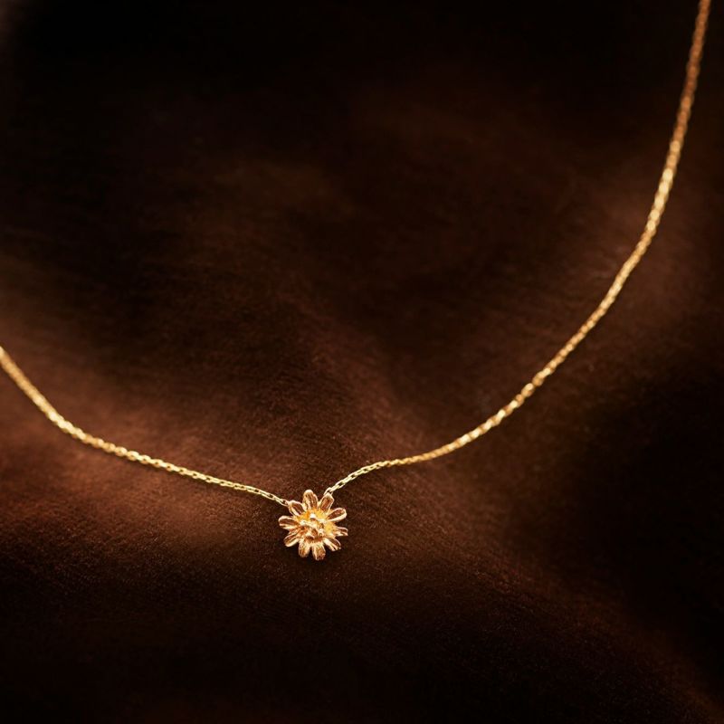 000000000804-01-l.jpg?t=